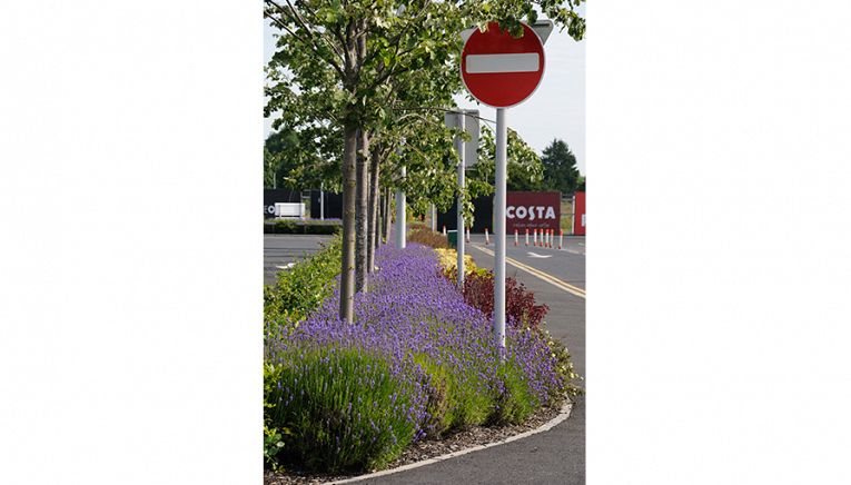 The Outlet - Banbridge