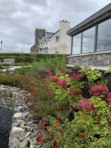 Donegal
